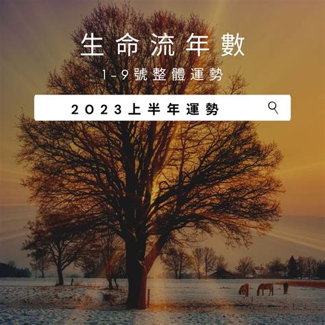 2023生命靈數流年3